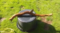 Dekoration im Aquarium Namenlos