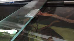 Dekoration im Aquarium Namenlos