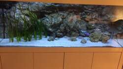Aquarium Wohnzimmer Becken