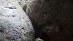 Dekoration im Aquarium 540 l Malawi Rock