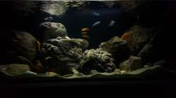 2.2.2018  neu gestaltet 4ter Versuch 