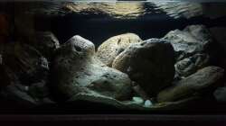 14.11.2018 komplett neu gestaltet mit neuen Rockzolid Modulen