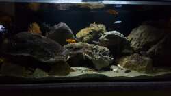 Stand 6. Jänner 2018