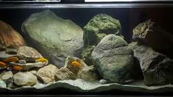 2ter Versuch - Juni 2017