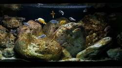 Teilwasserwechsel erledigt  24.3.2019