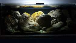 29.11.  die Patina wächst 