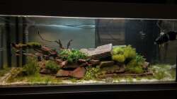 Hauptblick 1 06.11.16