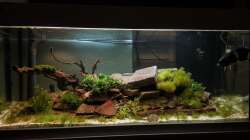 Hauptblick 2 06.11.16