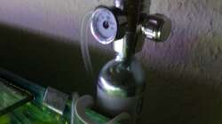 Technik im Aquarium Outta Jungle(aufgelöst)