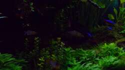 Impressionen 30.01.17