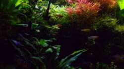 Impressionen 30.01.17