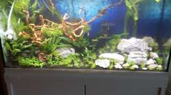 frisch nach der Einrichtung