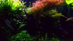 Impressionen 30.01.17