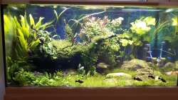 ca. 2 Monate nach Einrichtung