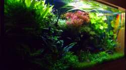 einmal von links 30.01.17