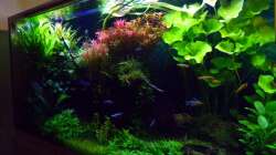 einmal von rechts 30.01.17