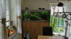 Aquarium "the green one"