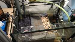 Technik-/ Filterbecken