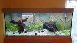 Mal sehen was daraus wird ???