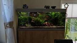 Aquarium "the green one"