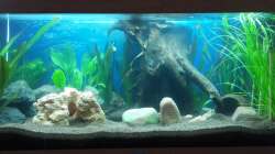 Beginn der Einlaufphase