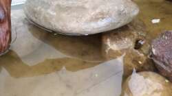 Hier entsteht eine Höhle