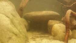 Eine bessere Ansicht. Wer wird da wohl einziehen?