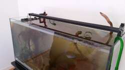 Wasser voll aufgefüllt. Technik installiert