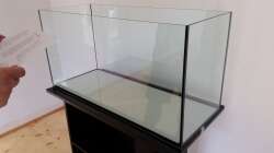 Aquarium Rio Negro em Suíça