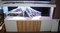 Bodengrund eingerichtet