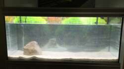 Aquarium Südamerika-Traum