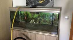 Befüllen des Beckens 