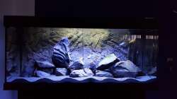 Aquarium Black Stone Tank