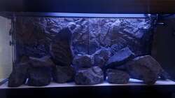 Aquarium Black Stone Tank