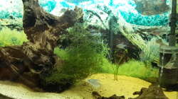 Aquarium Welsbecken 400Liter