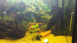 Aquarium Welsbecken 400Liter