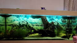 Aquarium Welsbecken 400Liter