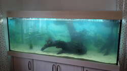 Aquarium Welsbecken 400Liter
