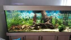 Aquarium Welsbecken 400Liter