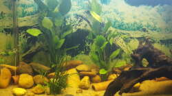 Aquarium Welsbecken 400Liter