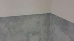 Aquarium Südamerika 4.0