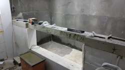 Aquarium Südamerika 4.0