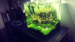 Technik im Aquarium i love stones, again !