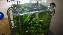 Technik im Aquarium i love stones, again !