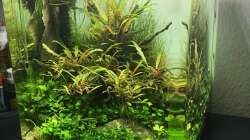 Aquarium i love stones, again !