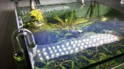 Technik im Aquarium i love stones, again !