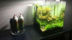 Aquarium i love stones, again !