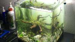 Aquarium i love stones, again !