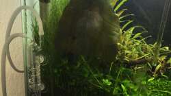 Technik im Aquarium i love stones, again !