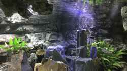Aquarium Tanganjika Cavern